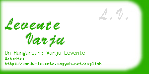 levente varju business card